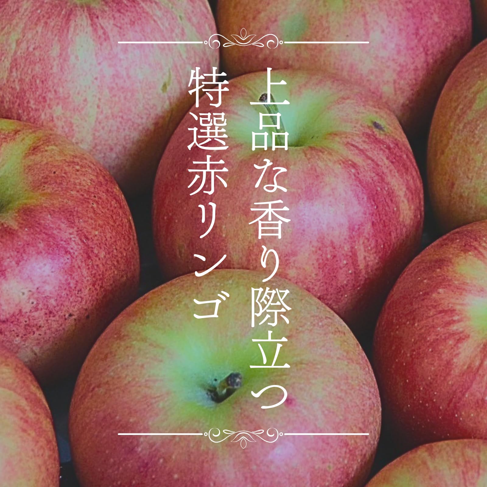 Amazon.co.jp: 【ふじりんご】4個 サンふじ 糖度14℃以上 青森県産
